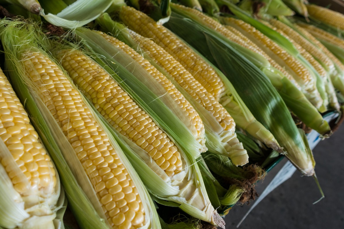 Corn Cups